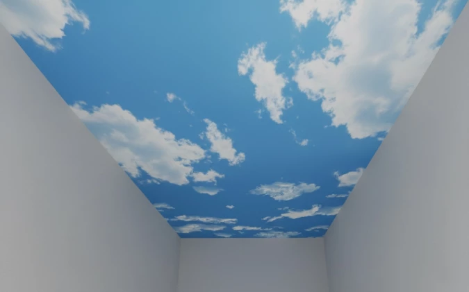 Натяжные потолки с фотопечатью